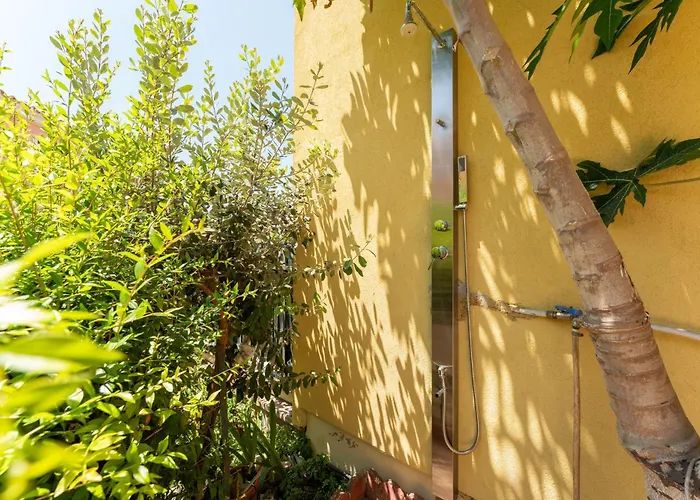 Marta * ヴィッラシミーウス