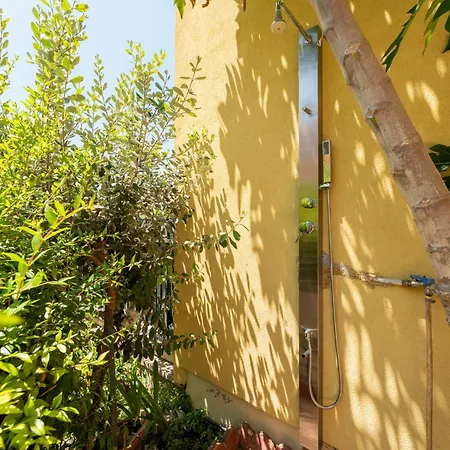 Marta * וילסימיוס